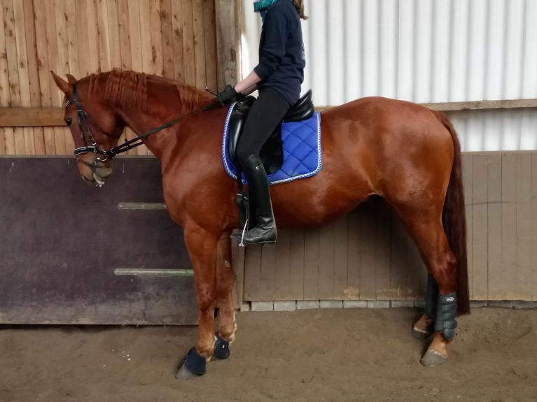 Reiten im schönen Emmerthal